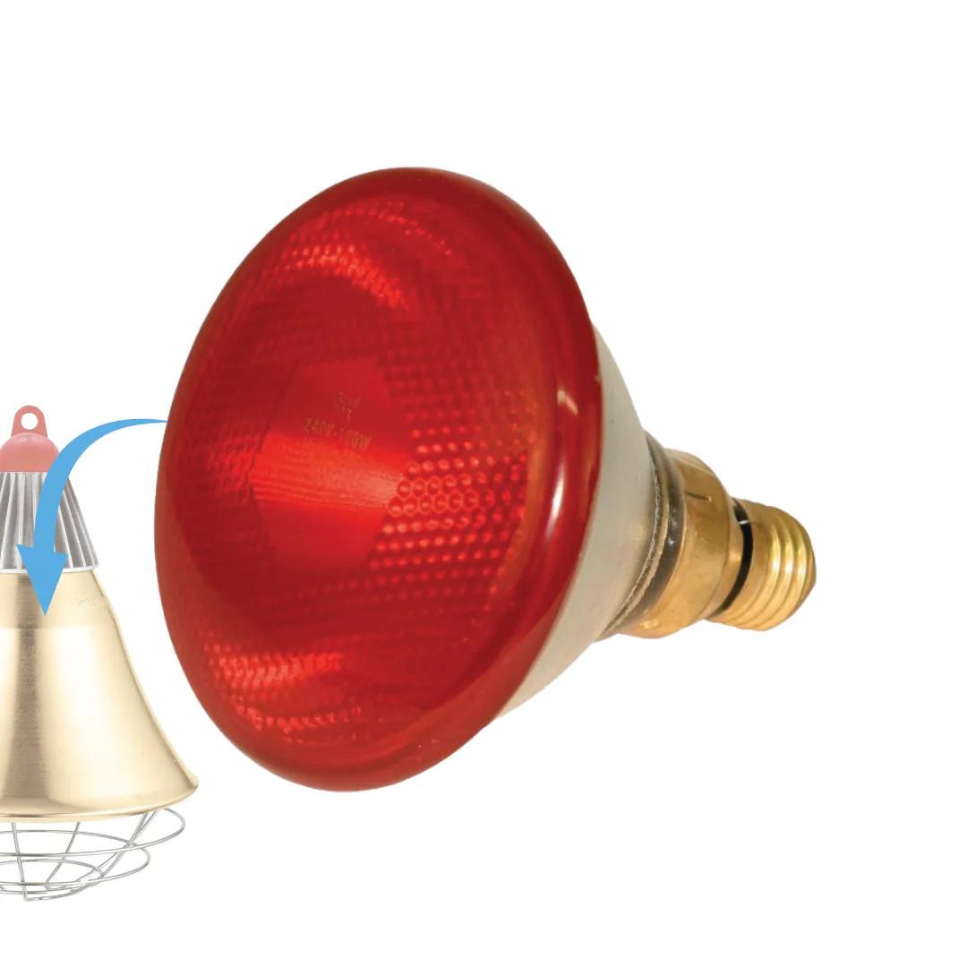 100W Infrared Heat Bulb for Animals