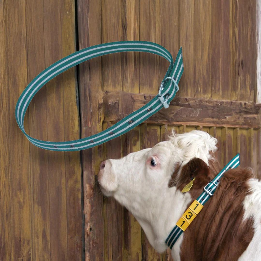 Állatjelölő öv 120/135cm