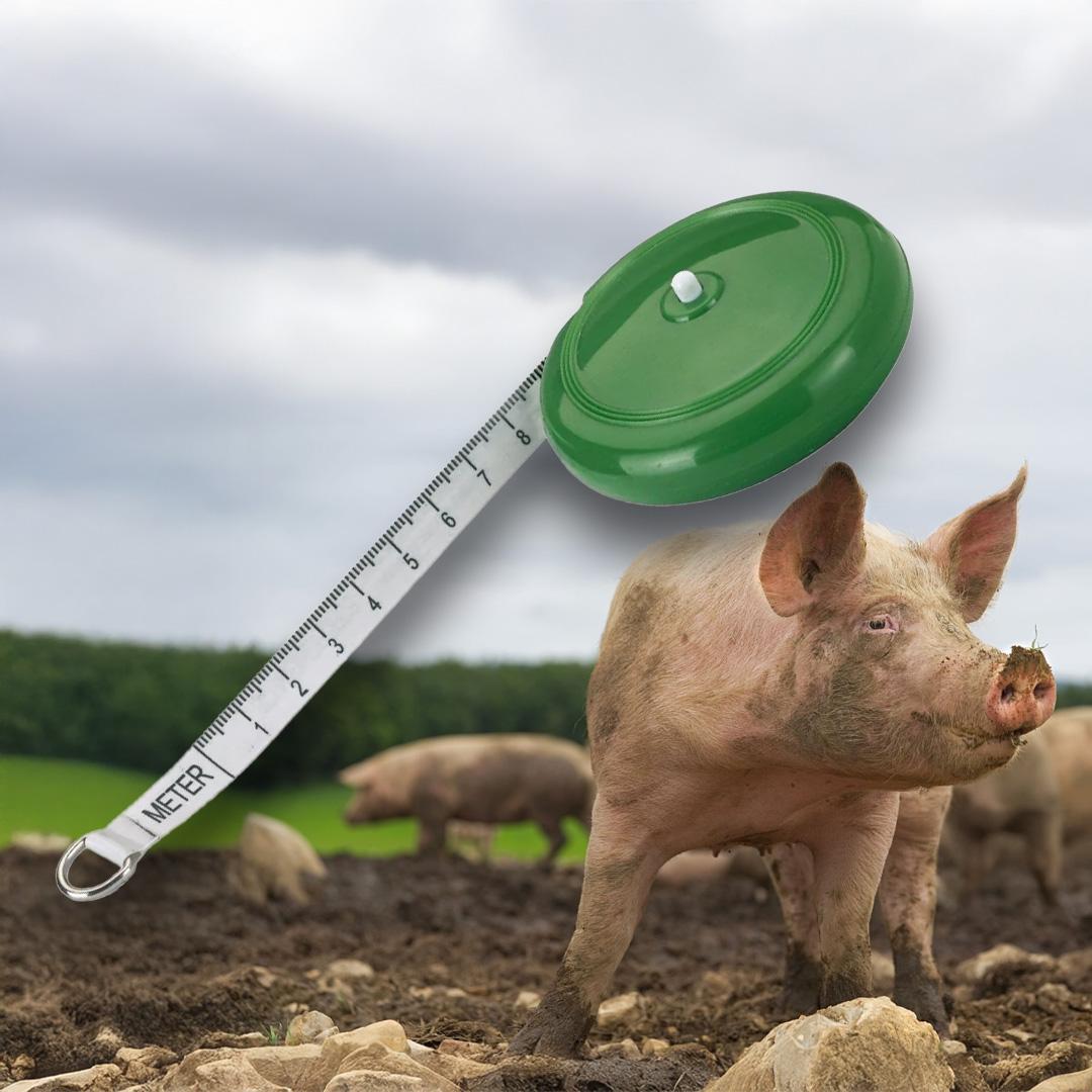 Animal Measuring Tape - ANImeter
