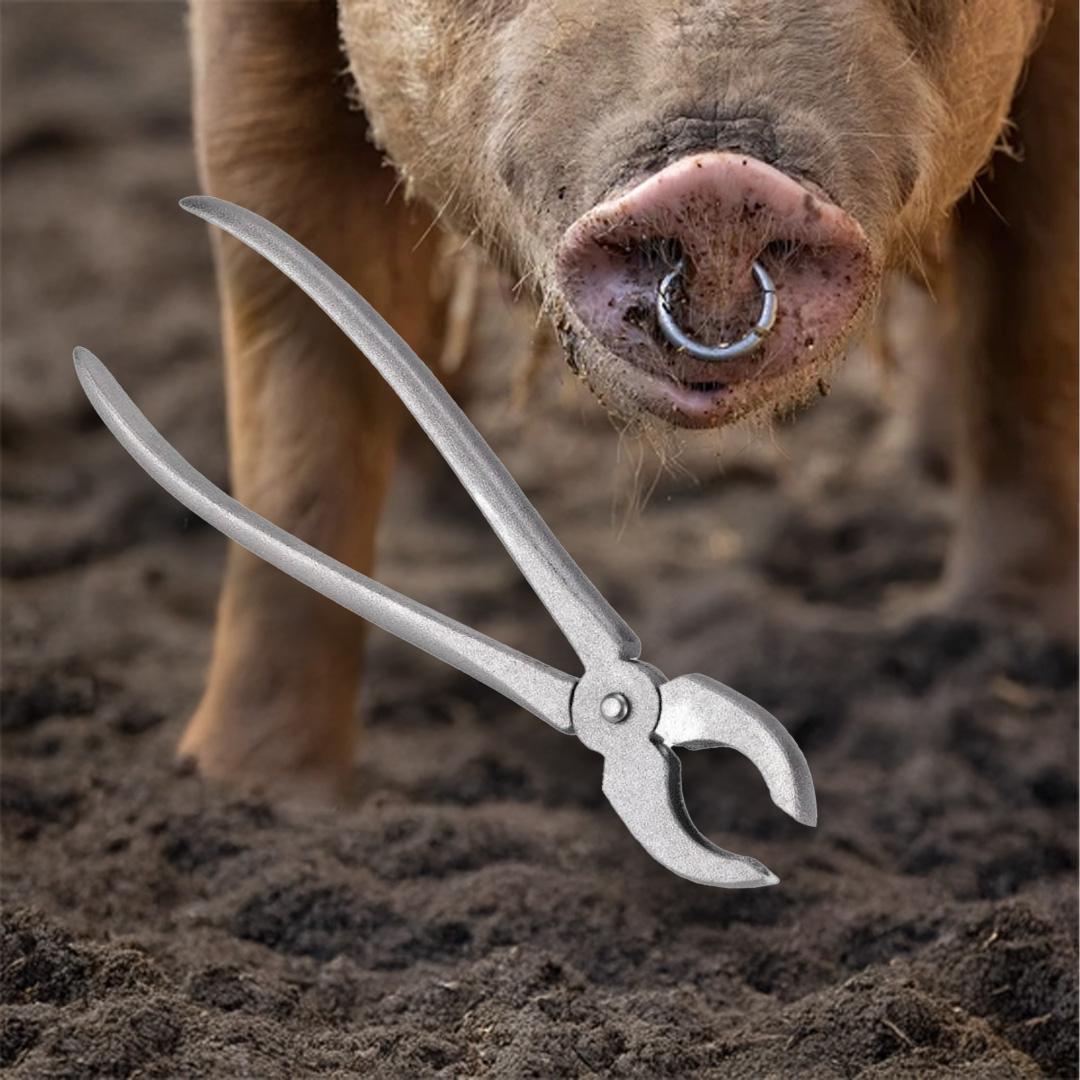 Cleste pentru inel nazal porc