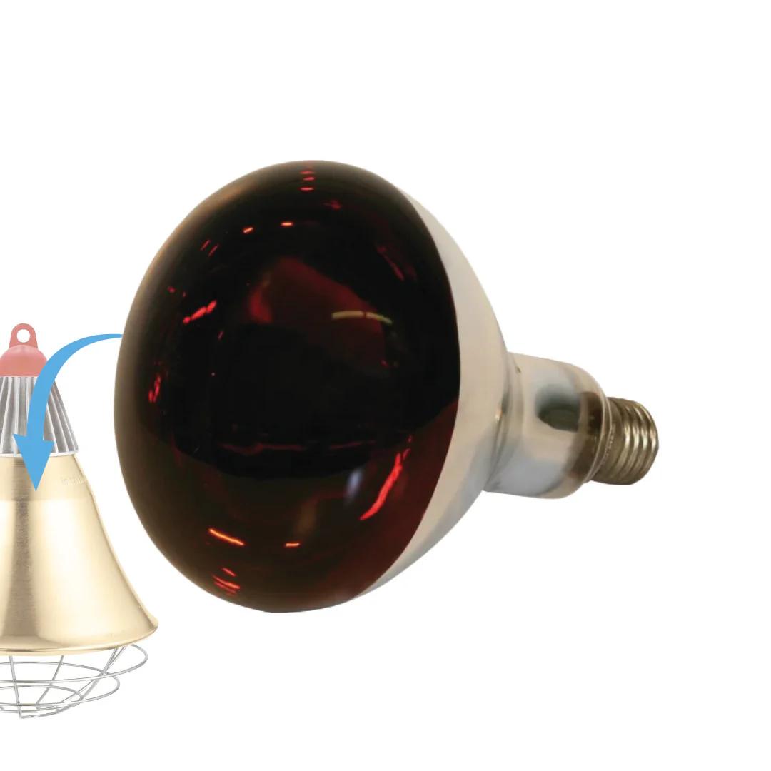 Bec infraroșu din sticlă rezistentă 250W Kerbl