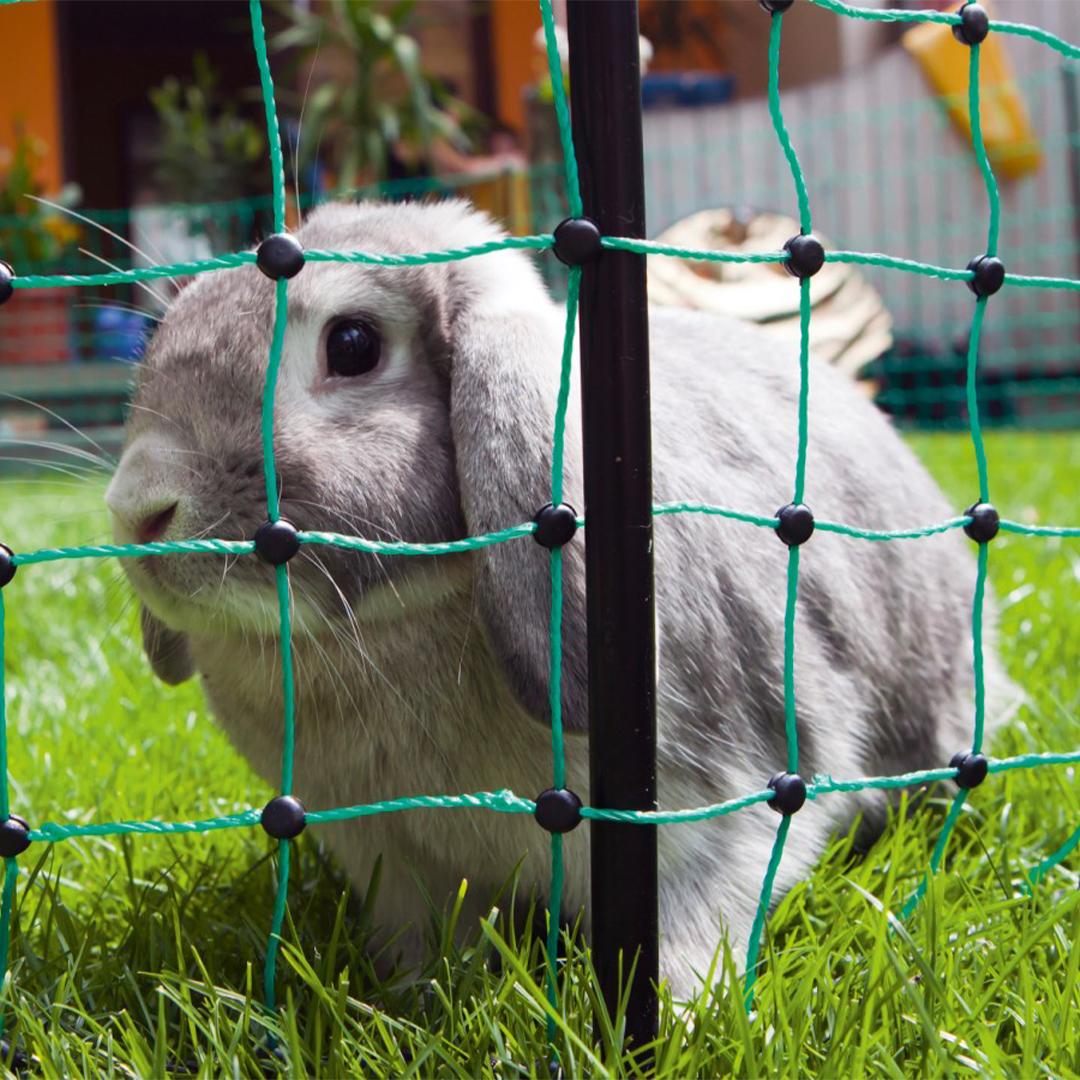 Nyúlháló 50 m – 65 cm, villamosítható, zöld/fekete