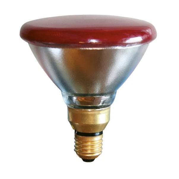 100W Infrared Heat Bulb for Animals