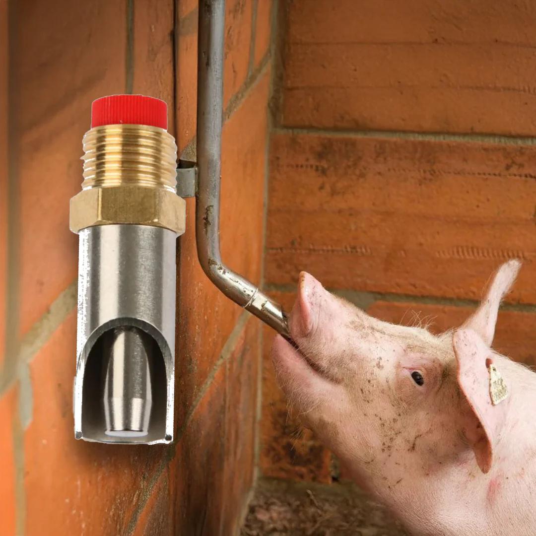 Large Stainless Steel Nipple Drinker for Pigs 1/2"