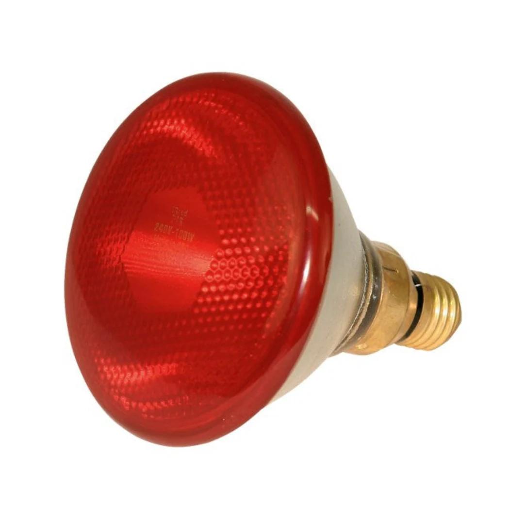 100W Infrared Heat Bulb for Animals