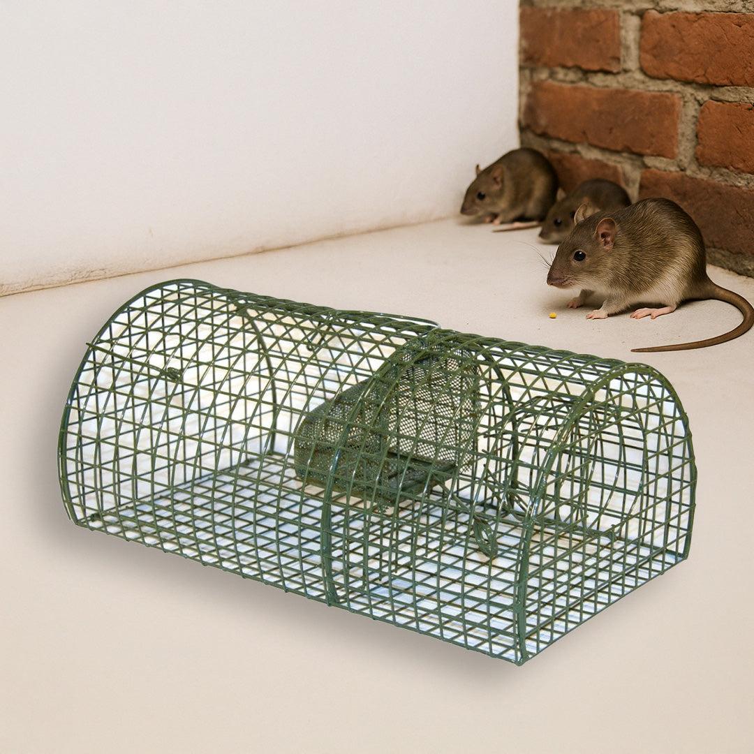 Alive MultiRat élvefogó csapda több patkány számára