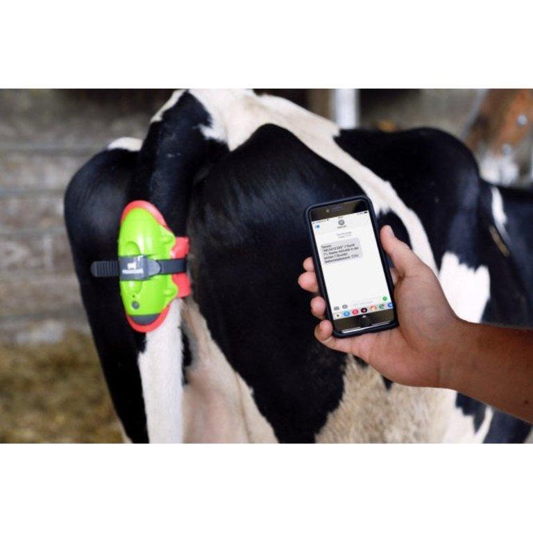 MOOCALL Smart Ellési Érzékelő