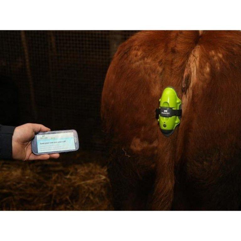 MOOCALL Smart Ellési Érzékelő