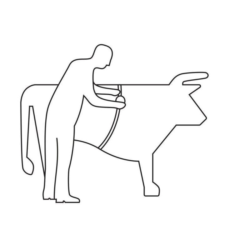 Animal Measuring Tape - ANImeter