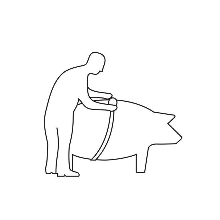 Animal Measuring Tape - ANImeter