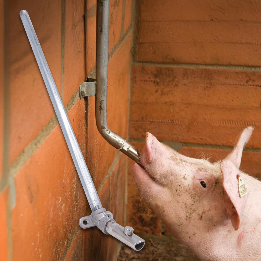 Itató szett sertéseknek – 50 cm-es horganyzott cső + 45°-os könyök + inox itatószelep