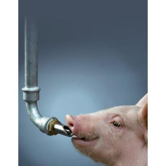 Suzeta mare adăpare porci 3/4