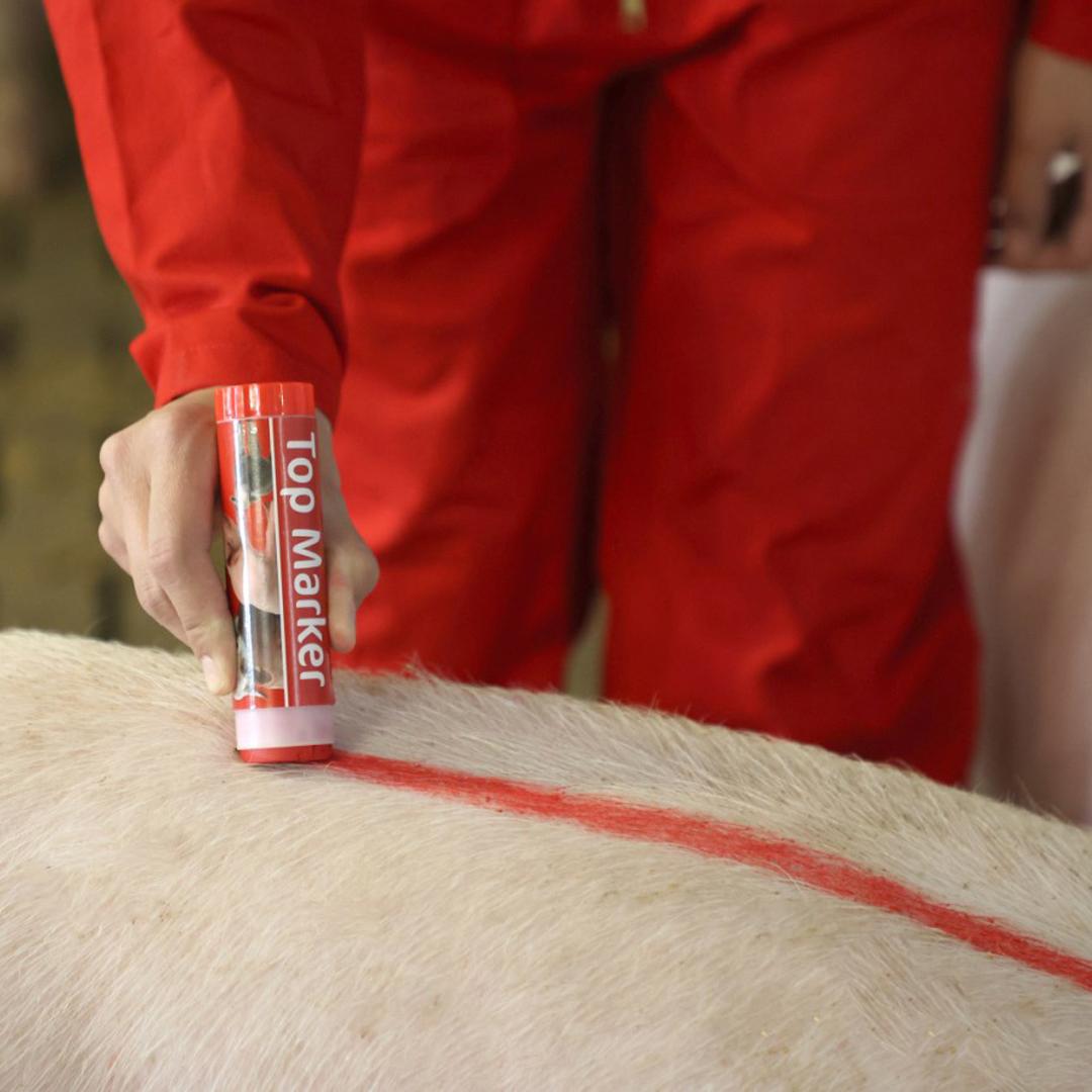 TopMarker piros állatjelölő ceruza