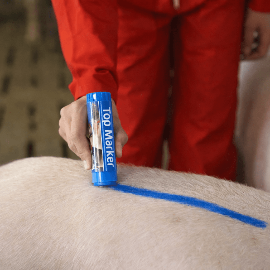 TopMarker kék állatjelölő ceruza