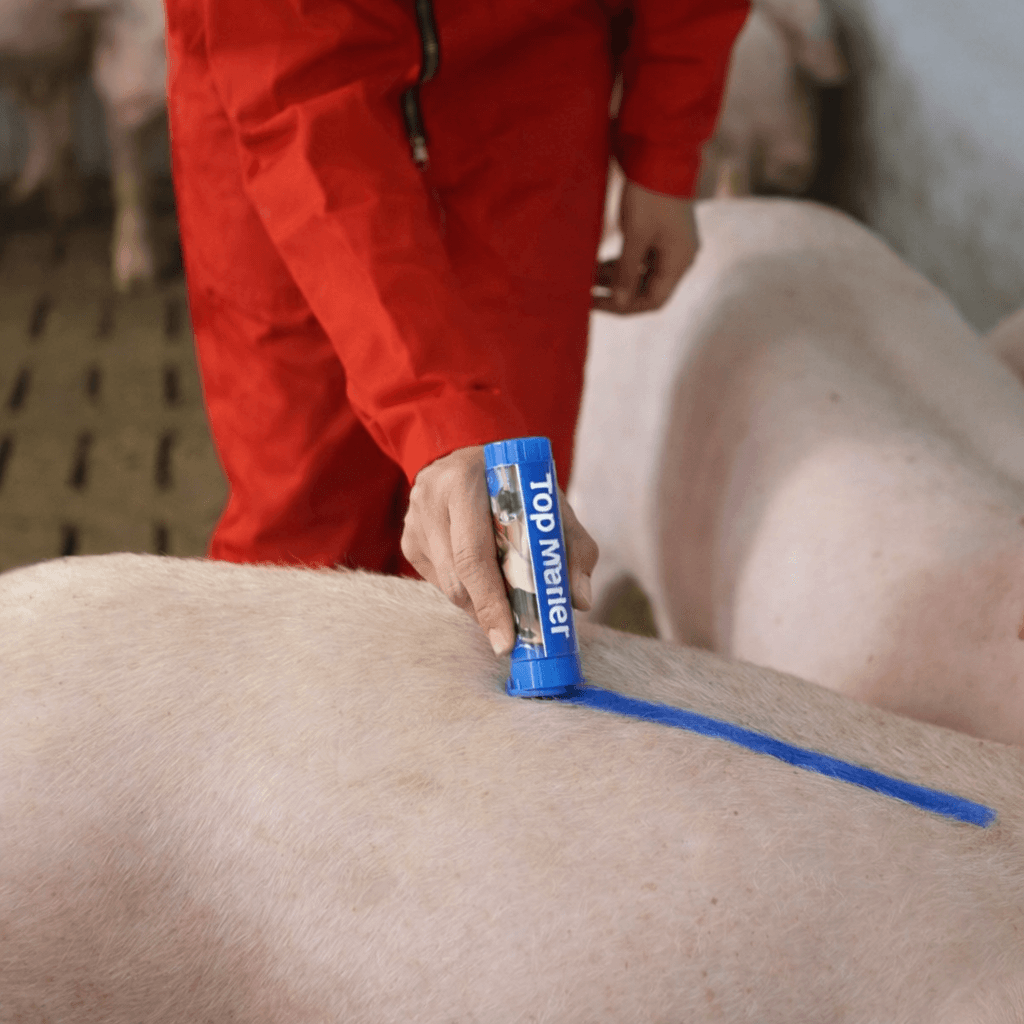 TopMarker kék állatjelölő ceruza