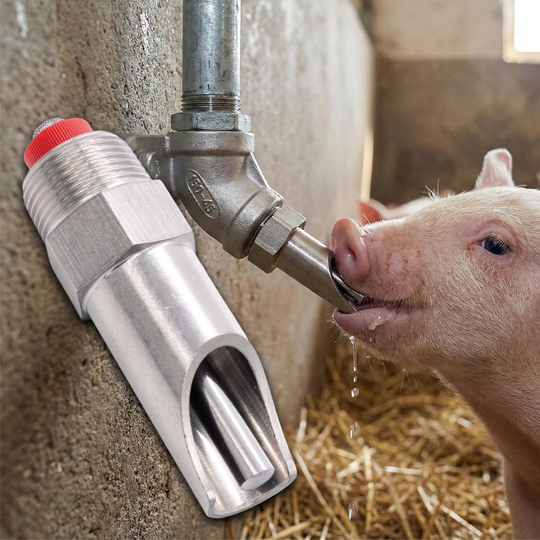 1/2” x 3/8” rozsdamentes itatószelep malacok számára