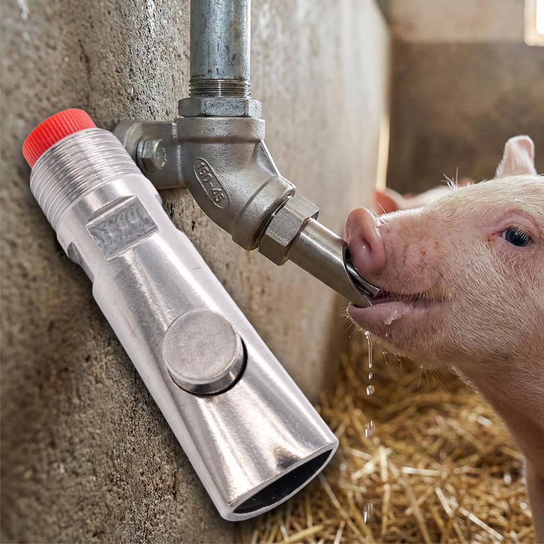 Rozsdamentes acél itató szelep golyós, 8x2.1 cm – sertésekhez és borjakhoz