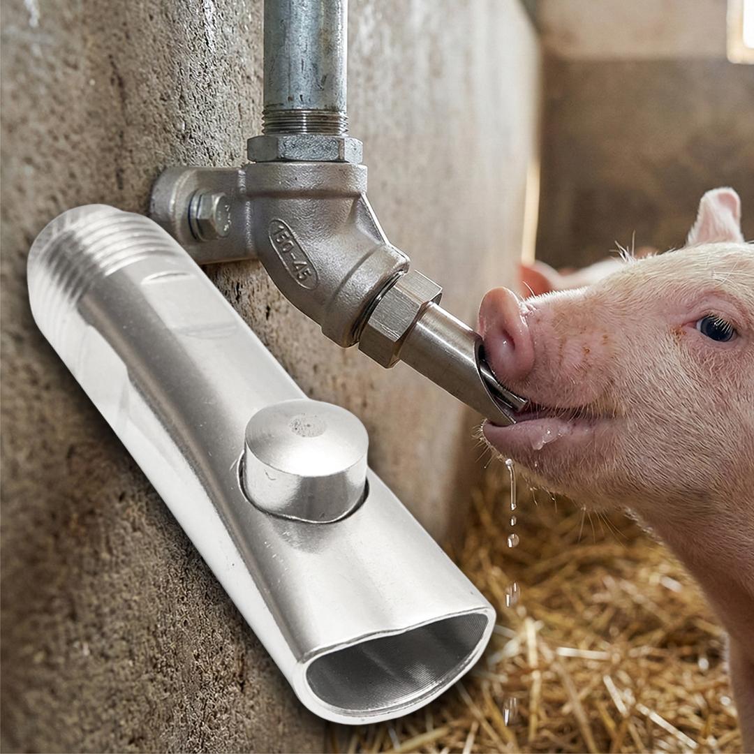 Rozsdamentes acél szopóka golyóval 85x21mm M20 sertés- és borjúitatóhoz