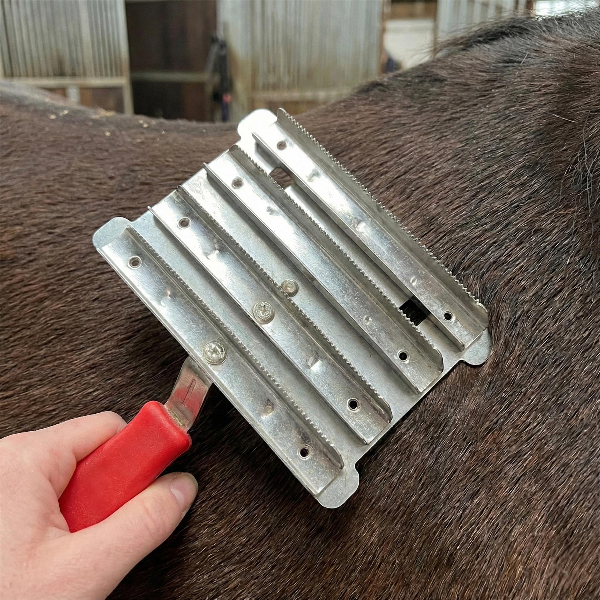 Fém lóápoló kefe 2 tisztítólappal – 9,5 × 14,5 cm