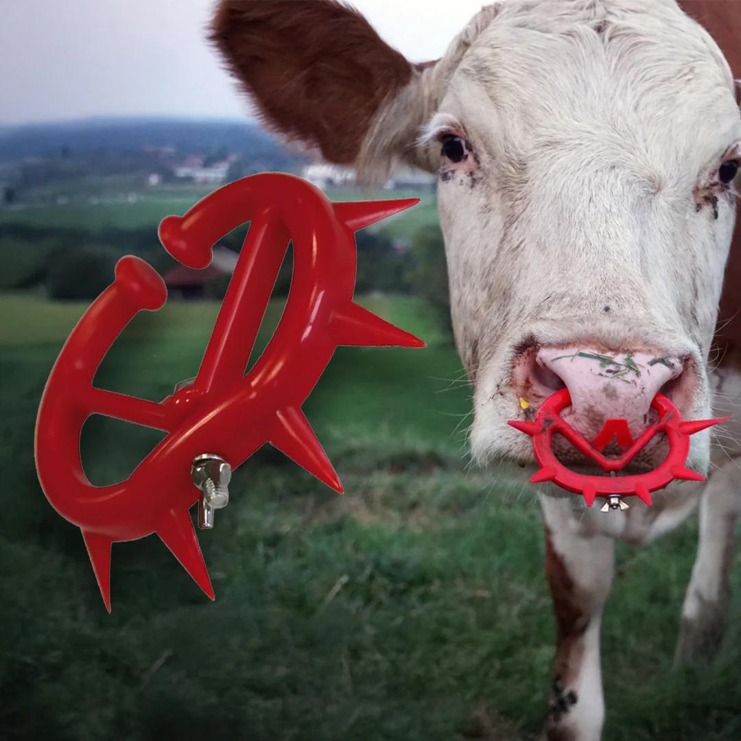 Inel nazal antisupt mic - set de 5 bucati