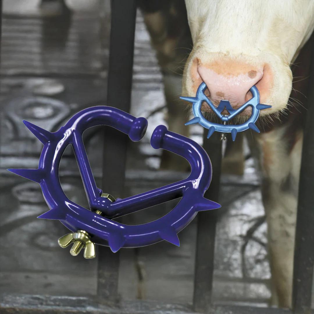 Inel nazal antisupt mediu set 2 buc - albastru