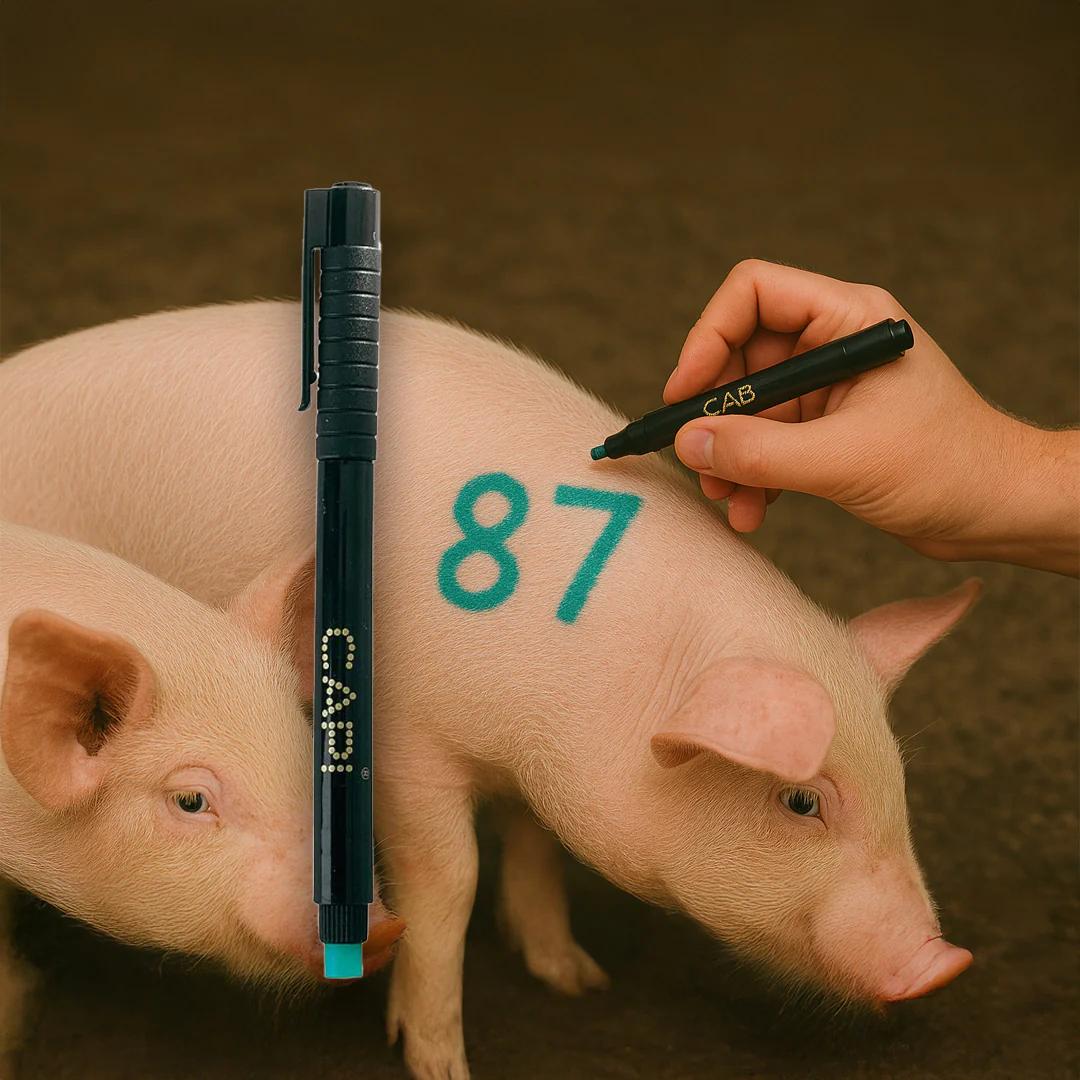 Vékony jelölőfilc füljelzőkhöz, fekete