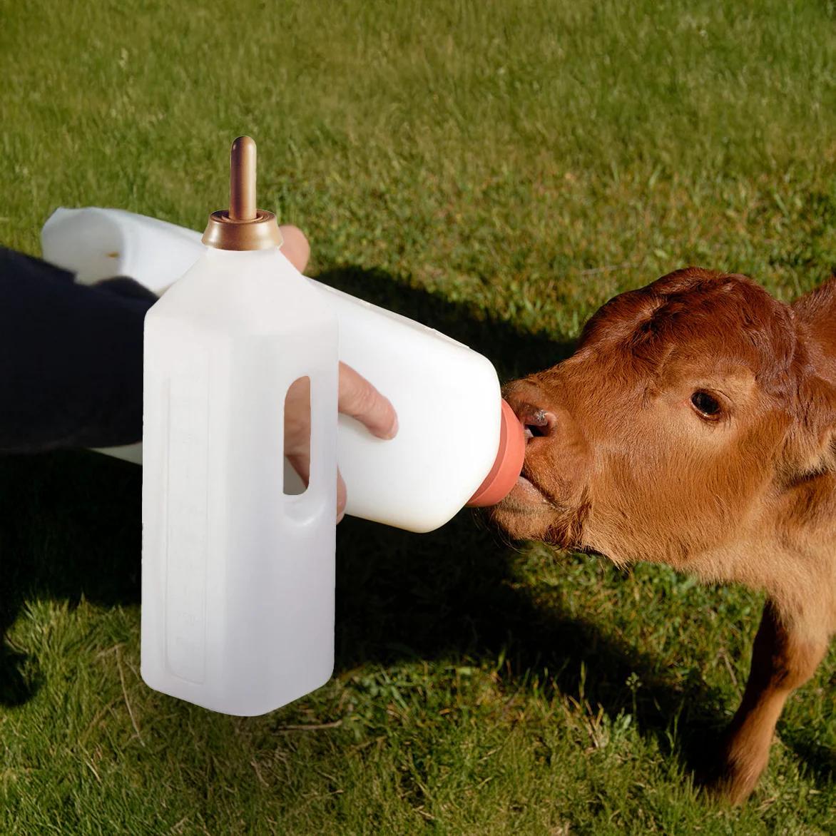 Bidon alăptare viței 2L cu tetină roșie și scară gradată