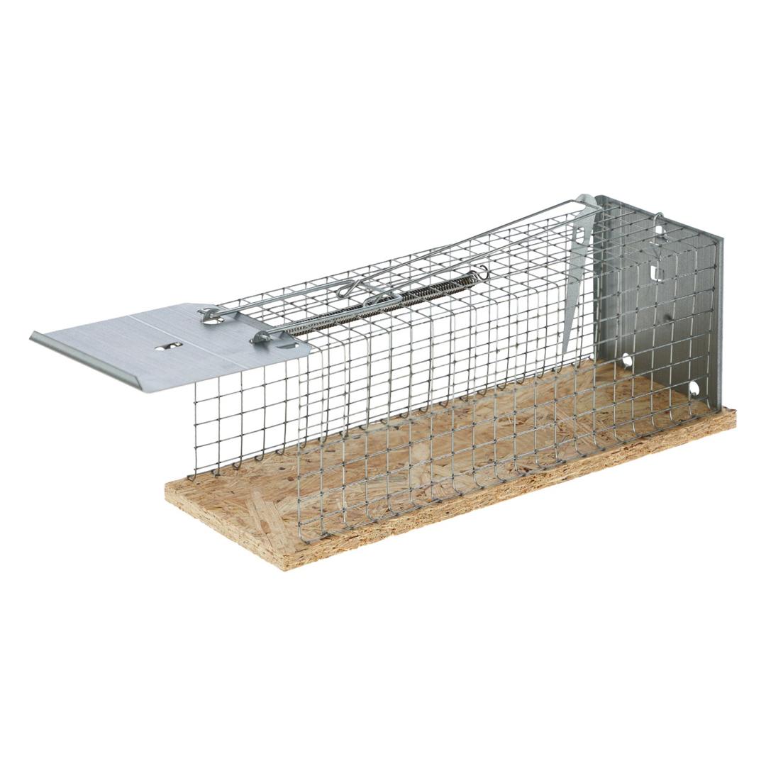 Wire rat trap Luna 27.5×9.5×9.5 – galvanized steel