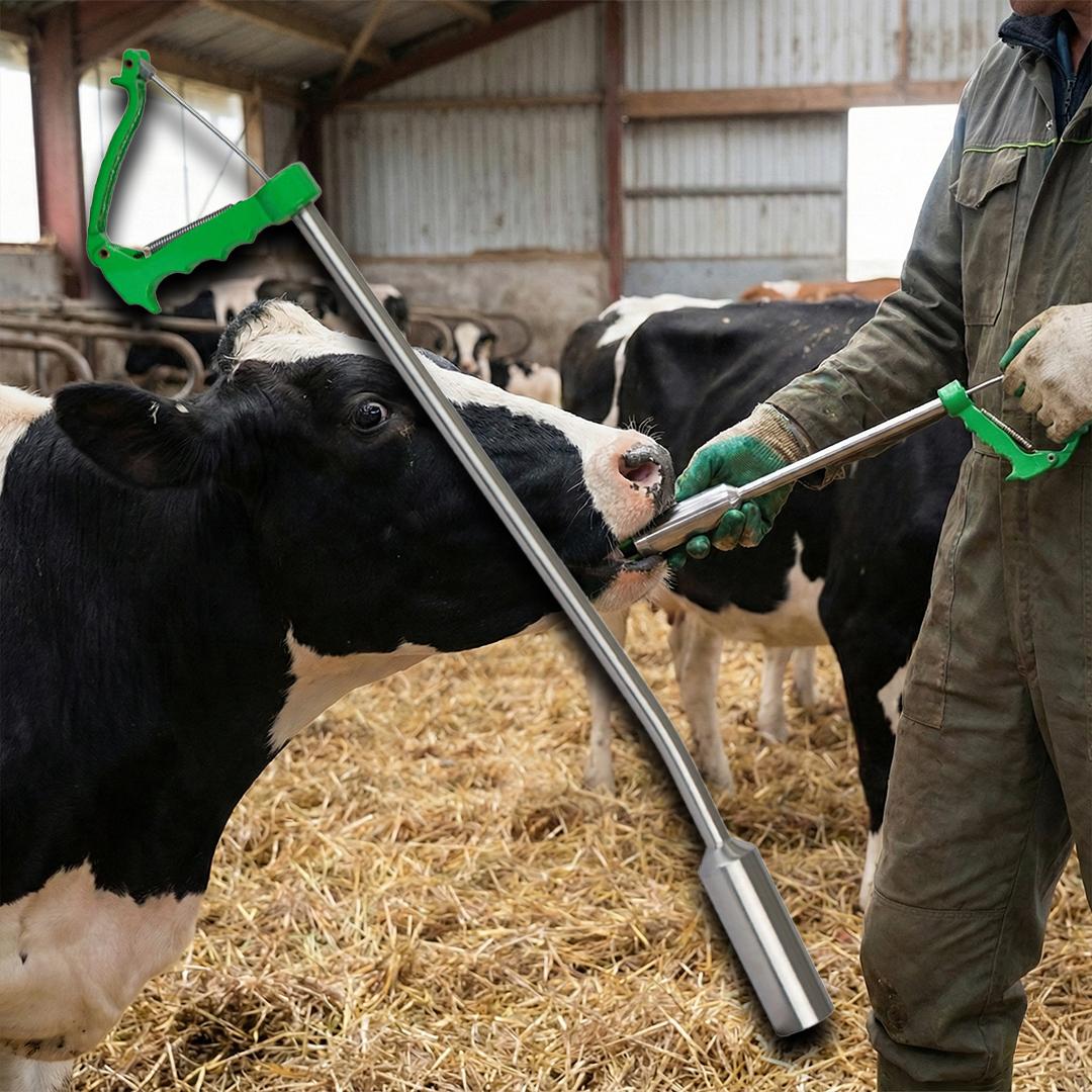 Bolus- és bendőmágnes-adagoló eszköz