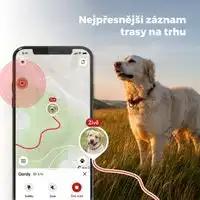 Dogtrace DOG GPS Mini GPS Tracker for Dogs and Cats