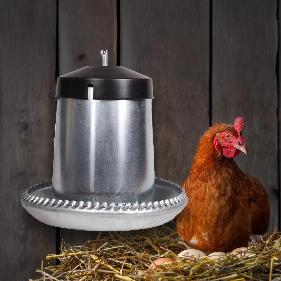 Metal Feeder for Poultry - 5L