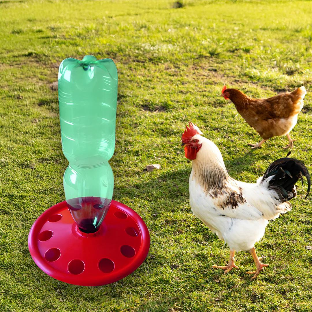 PET bottle type drinking bowl for chicks
