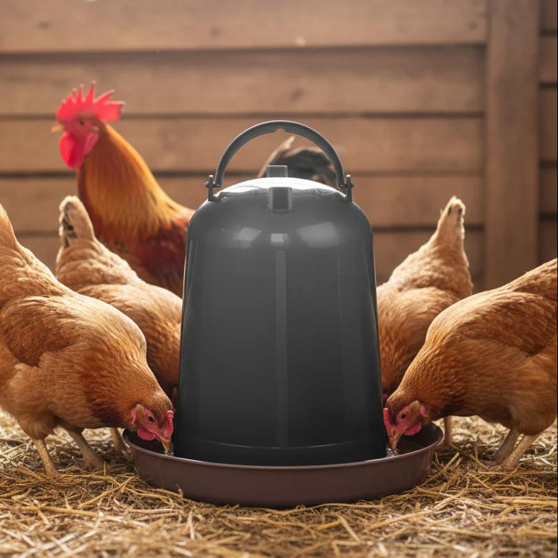 5L recycled plastic drinking bowl for chickens and chicks