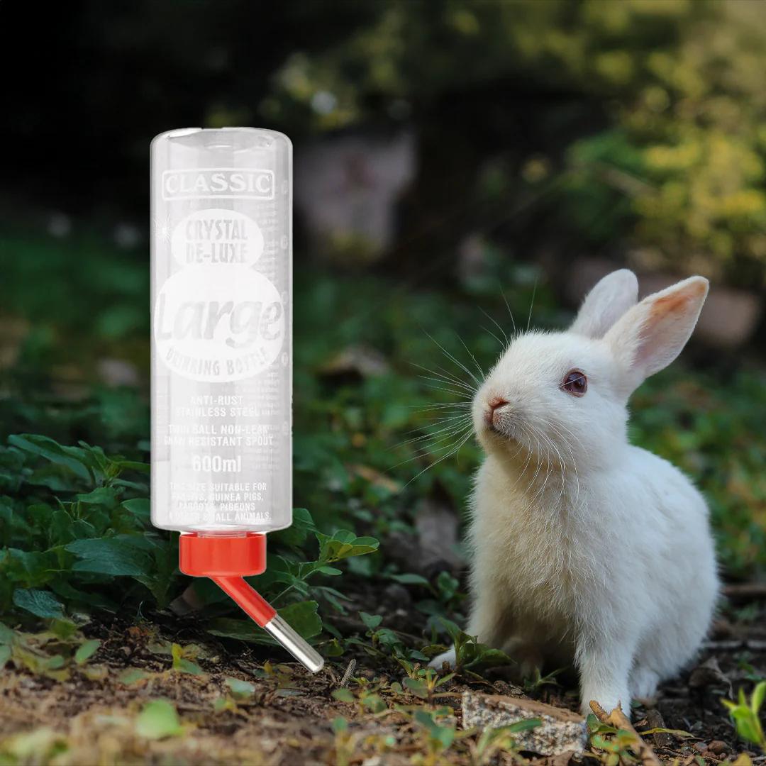 600ml nyúlitató palack