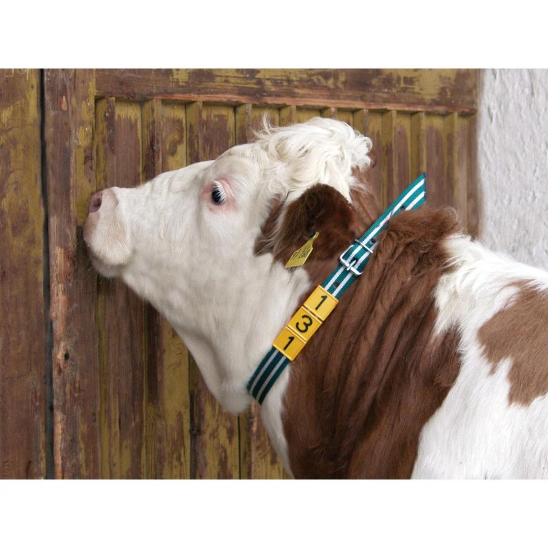 Animal marking belt 120/135cm