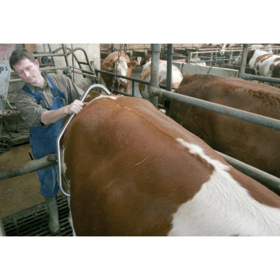 Dispozitiv pentru imobilizat vaci