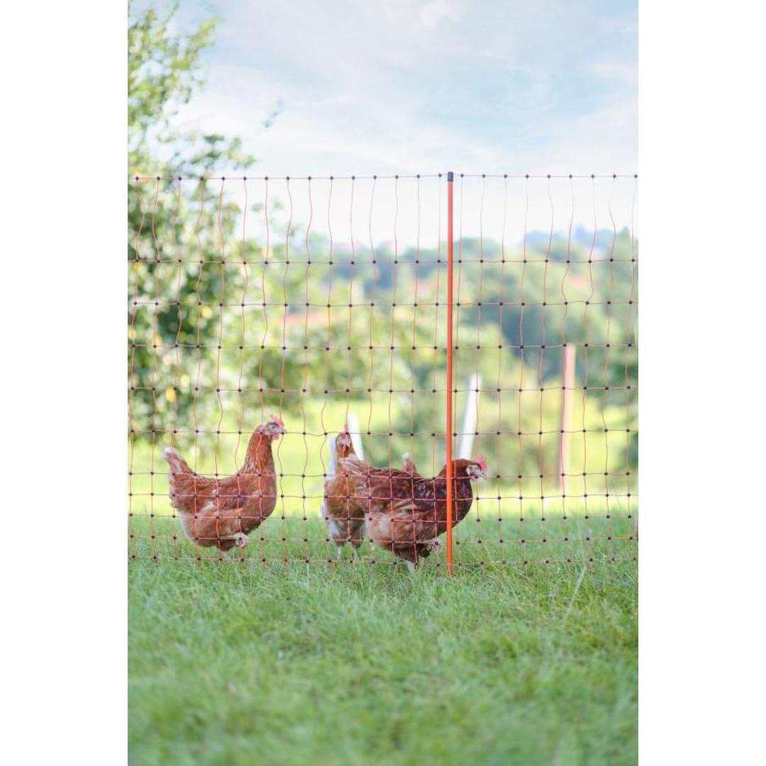 NEXON elektromos hálós villanypásztor baromfikhoz, magasság 106 cm