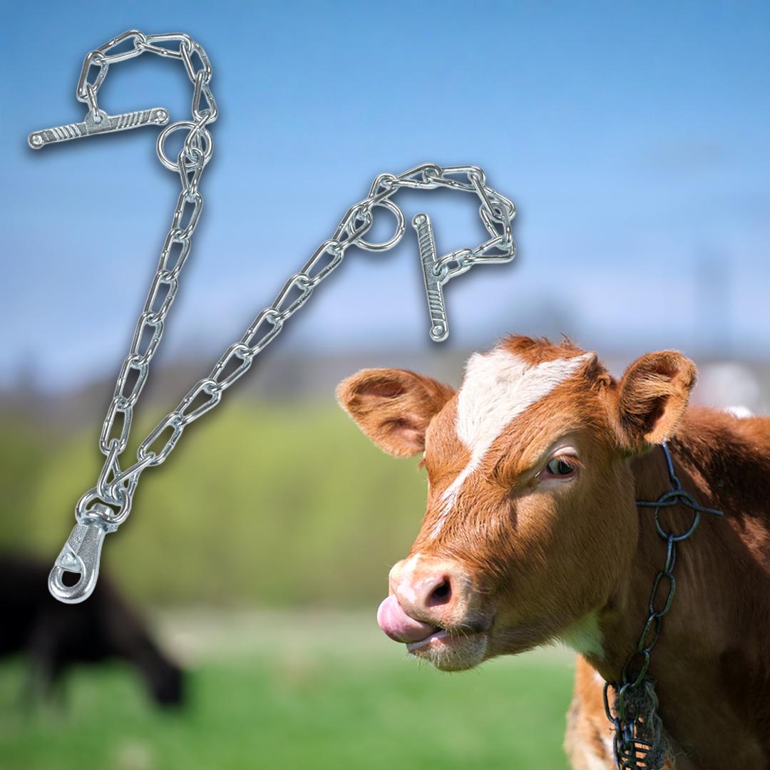 Cattle chain 70 cm – 6 mm with carabiner