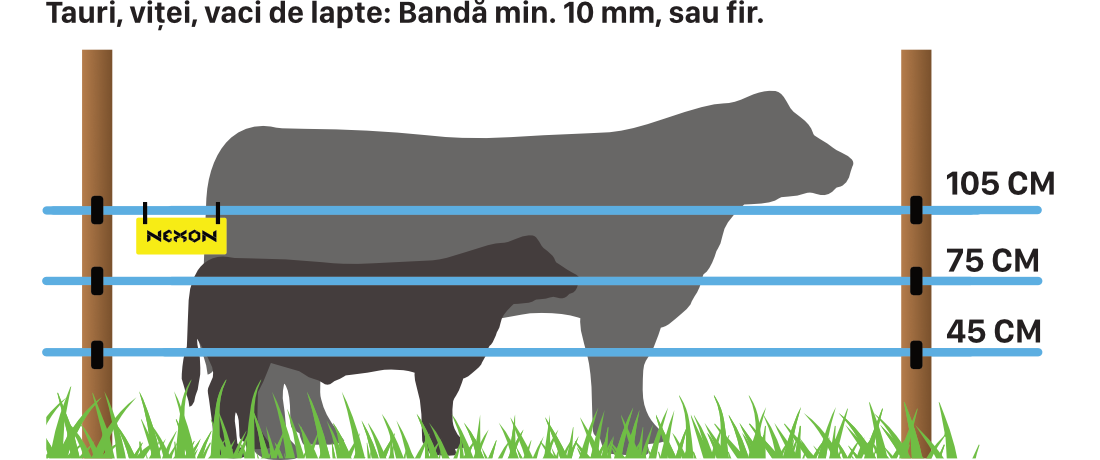 Electric fence setup for cows, bulls, and calves – 3 to 4 rows with visible tape or wire