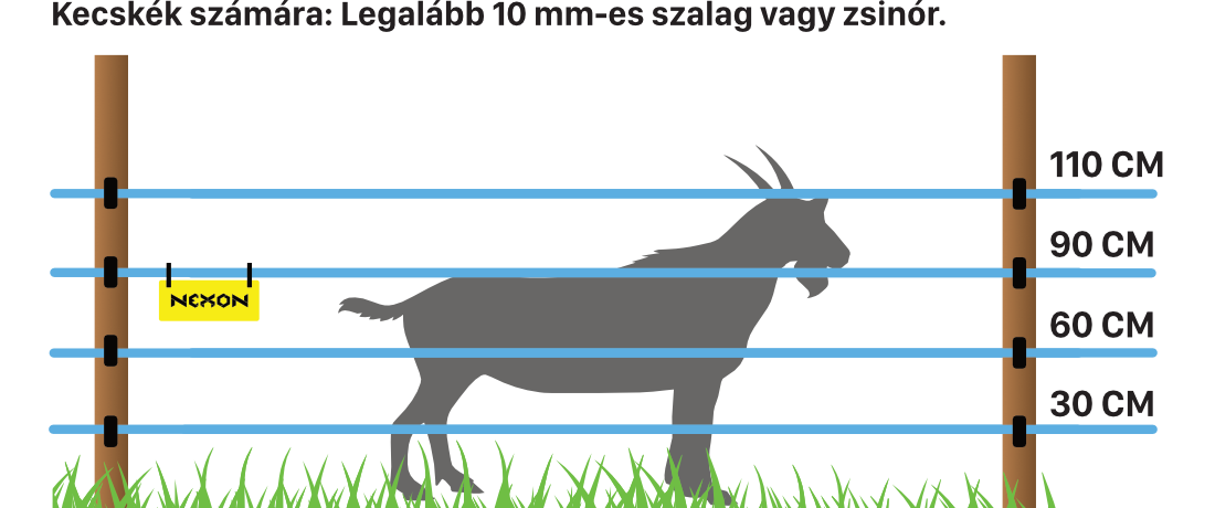 Villanypásztor kecskék és birkák számára – 10 mm-es szalag vagy zsinór megoldás