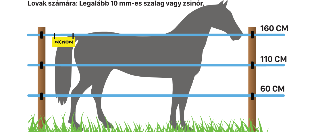 Villanypásztor lovak és szarvasmarhák számára – látható szalag vagy zsinór