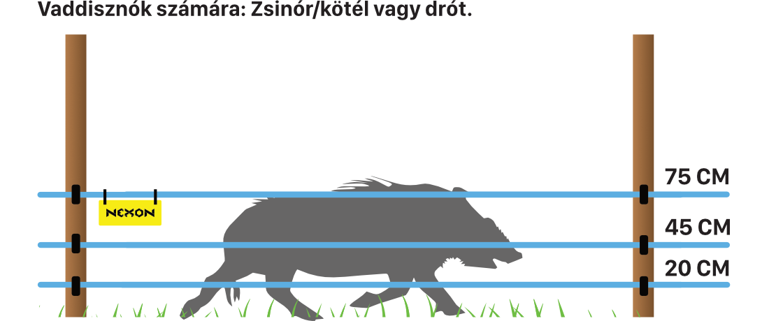 Villanypásztor vaddisznók ellen – erős zsinór, kötél vagy drótkerítés