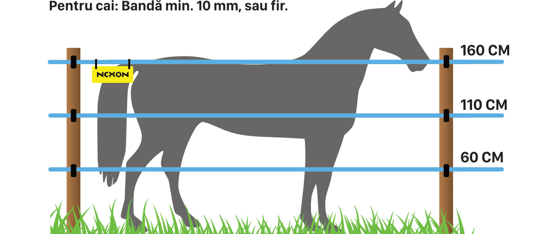 Gard electric pentru cai – bandă minim 10 mm sau fir vizibil
