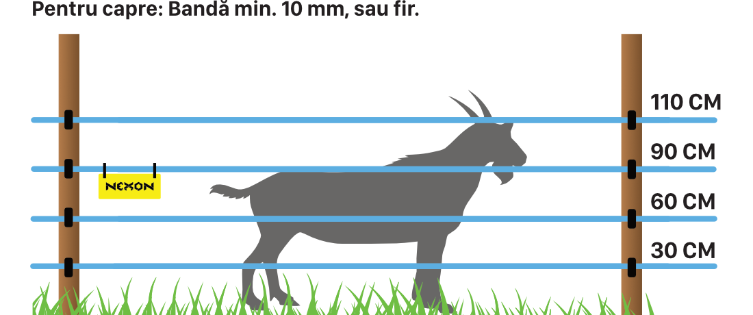 Gard electric pentru capre și oi – bandă sau fir de minim 10 mm