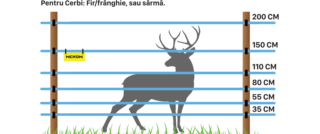 Gard electric împotriva cerbilor – fir, frânghie sau sârmă de protecție